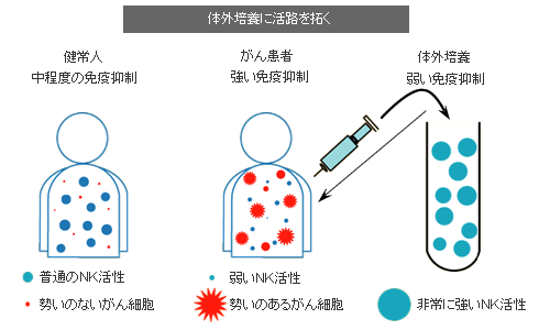 対外培養に活路を拓く